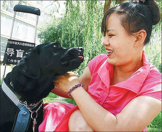 图为：陈燕和她的导盲犬珍妮。